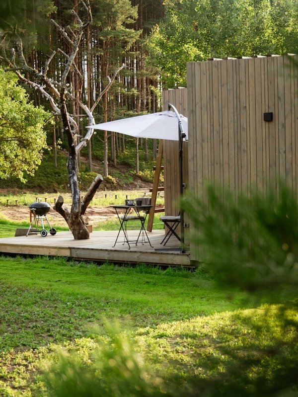 Quelle variété de bambou choisir pour une haie dense et rapide sans envahir le jardin voisin ?